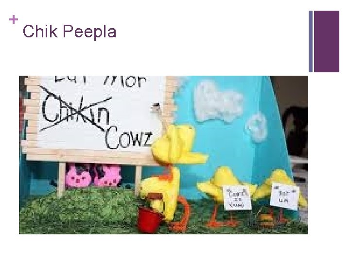 + Chik Peepla 