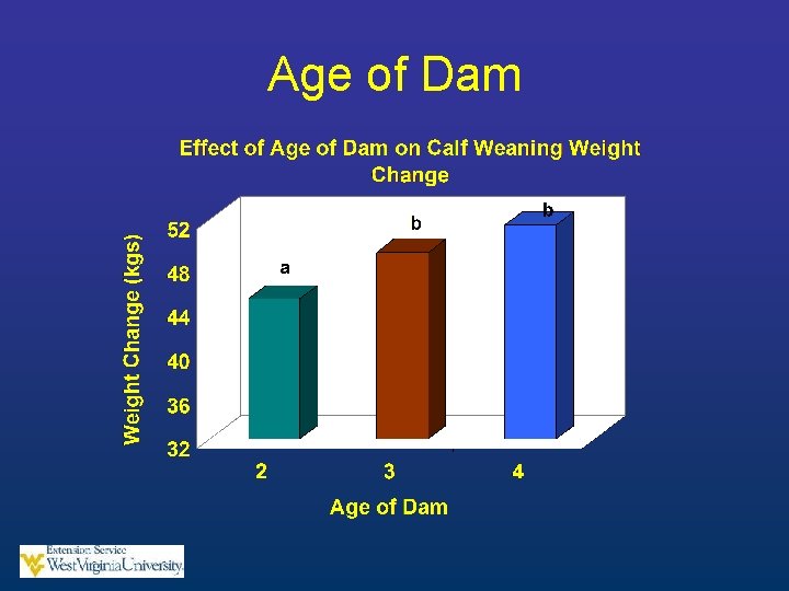 Age of Dam 