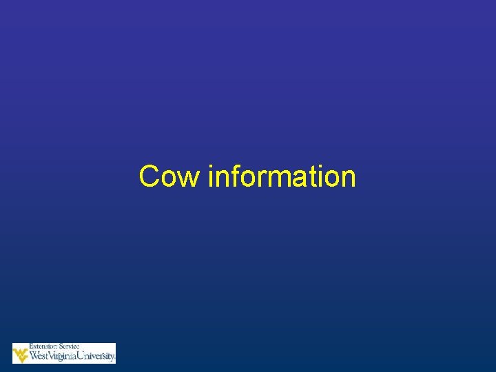 Cow information 