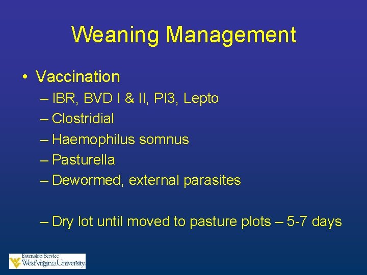 Weaning Management • Vaccination – IBR, BVD I & II, PI 3, Lepto –