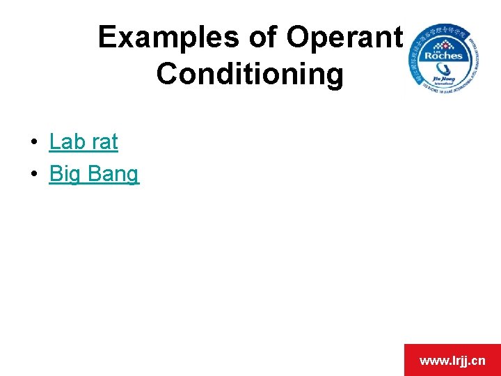 Examples of Operant Conditioning • Lab rat • Big Bang www. lrjj. cn 