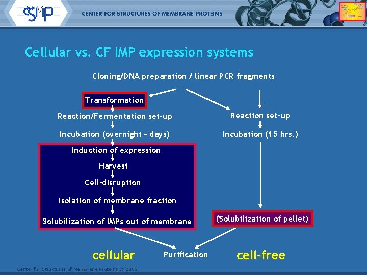 Cellular vs. CF IMP expression systems Cloning/DNA preparation / linear PCR fragments Transformation Reaction/Fermentation