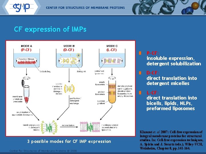 CF expression of IMPs (P-CF) (D-CF) (L-CF) P-CF: insoluble expression, detergent solubilization D-CF: direct