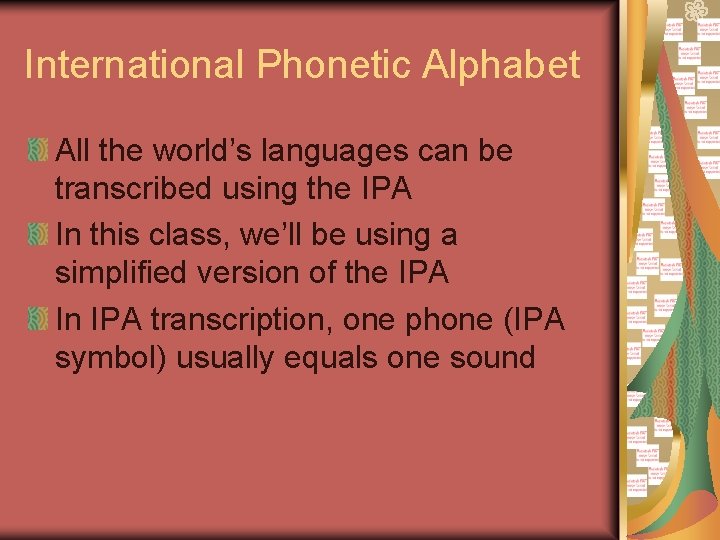 International Phonetic Alphabet All the world’s languages can be transcribed using the IPA In