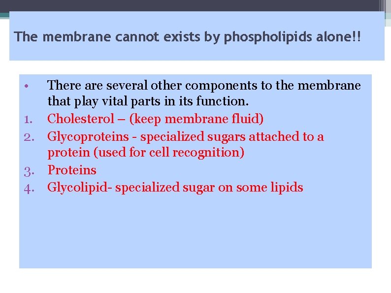 The membrane cannot exists by phospholipids alone!! • There are several other components to