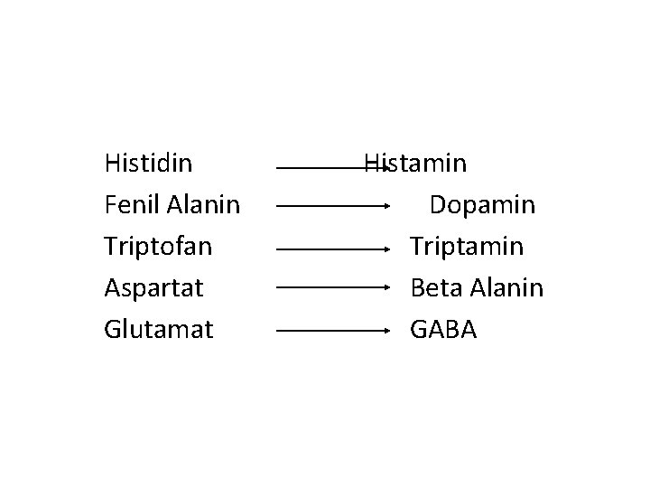 Histidin Fenil Alanin Triptofan Aspartat Glutamat Histamin Dopamin Triptamin Beta Alanin GABA 