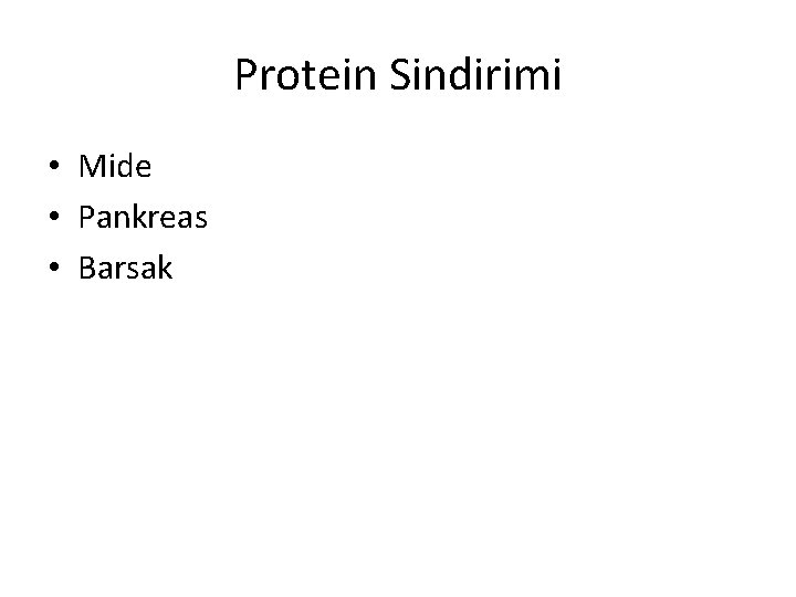 Protein Sindirimi • Mide • Pankreas • Barsak 