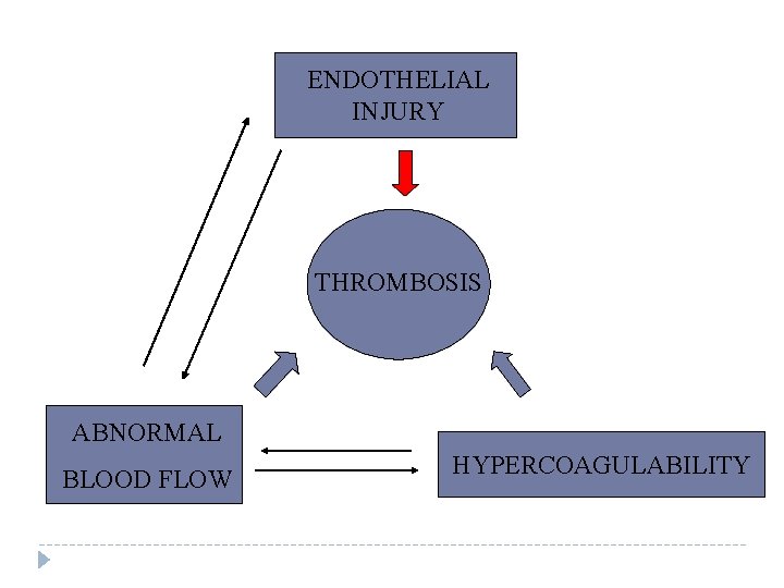 ENDOTHELIAL INJURY THROMBOSIS ABNORMAL BLOOD FLOW HYPERCOAGULABILITY 