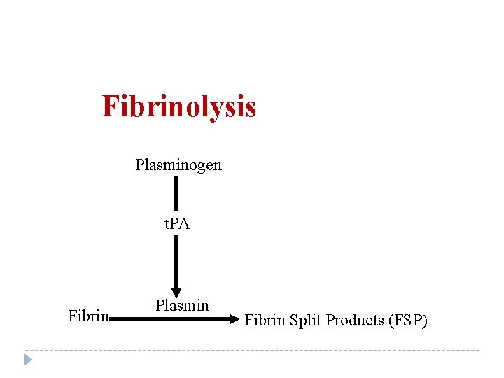 Fibrinolysis Plasminogen t. PA Fibrin Plasmin Fibrin Split Products (FSP) 