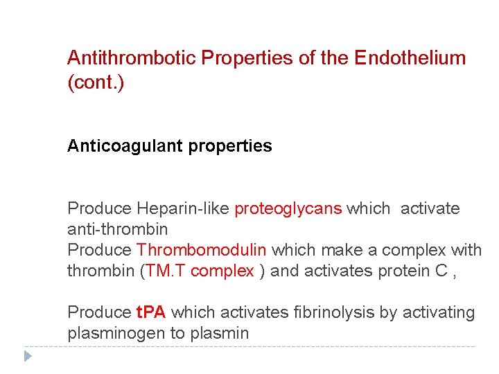 Antithrombotic Properties of the Endothelium (cont. ) Anticoagulant properties Produce Heparin-like proteoglycans which activate