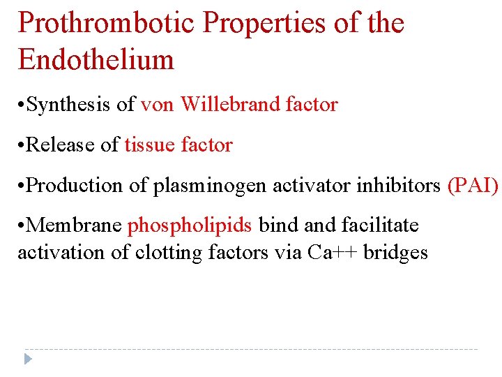 Prothrombotic Properties of the Endothelium • Synthesis of von Willebrand factor • Release of