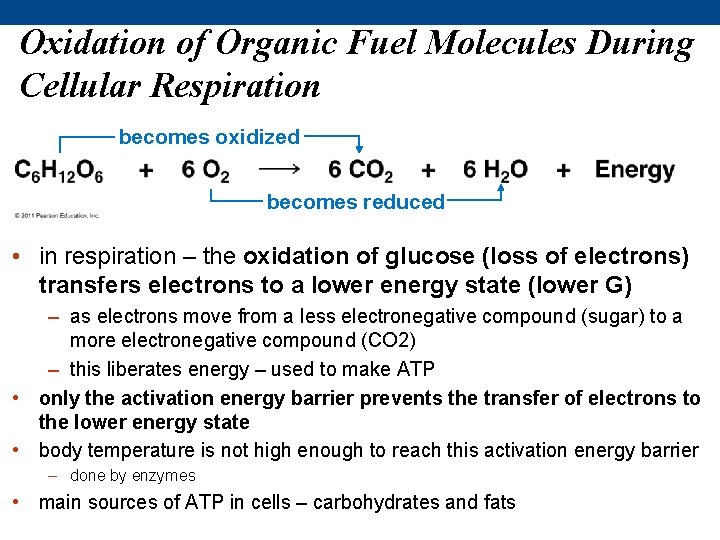 Oxidation of Organic Fuel Molecules During Cellular Respiration becomes oxidized becomes reduced • in