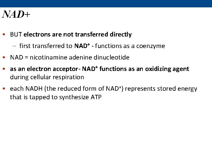 NAD+ • BUT electrons are not transferred directly – first transferred to NAD+ -