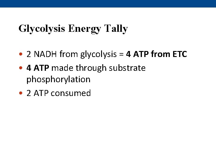 Glycolysis Energy Tally • 2 NADH from glycolysis = 4 ATP from ETC •