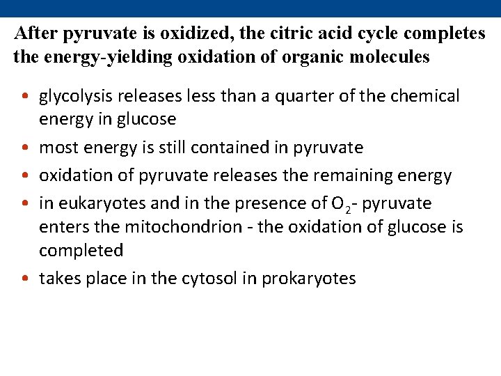 After pyruvate is oxidized, the citric acid cycle completes the energy-yielding oxidation of organic
