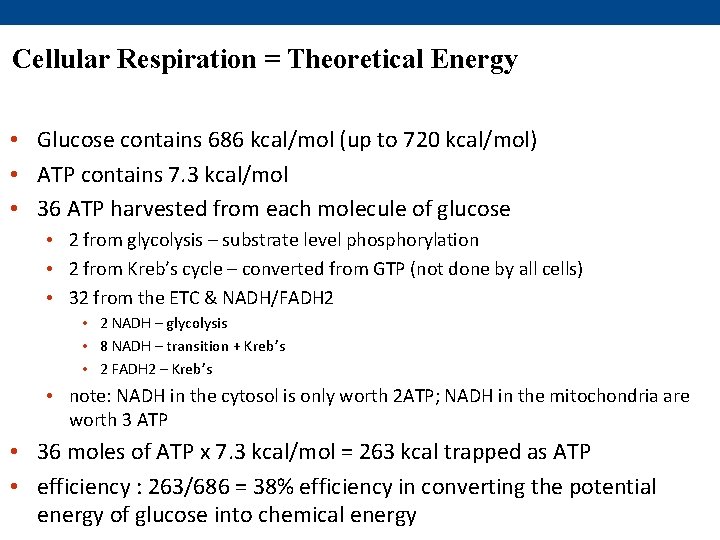 Cellular Respiration = Theoretical Energy • Glucose contains 686 kcal/mol (up to 720 kcal/mol)