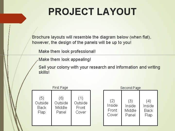 PROJECT LAYOUT Brochure layouts will resemble the diagram below (when flat), however, the design