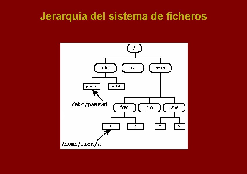 Jerarquía del sistema de ficheros 