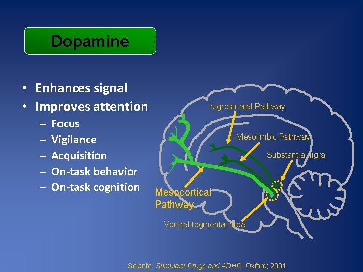 Dopamine • Enhances signal • Improves attention – – – Focus Vigilance Acquisition On-task