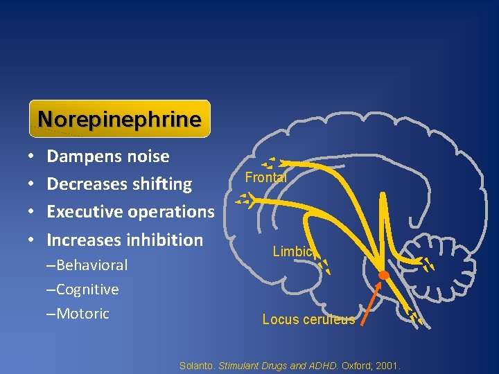 Norepinephrine • • Dampens noise Decreases shifting Executive operations Increases inhibition –Behavioral –Cognitive –Motoric