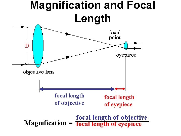 Magnification and Focal Length focal length of objective focal length of eyepiece focal length