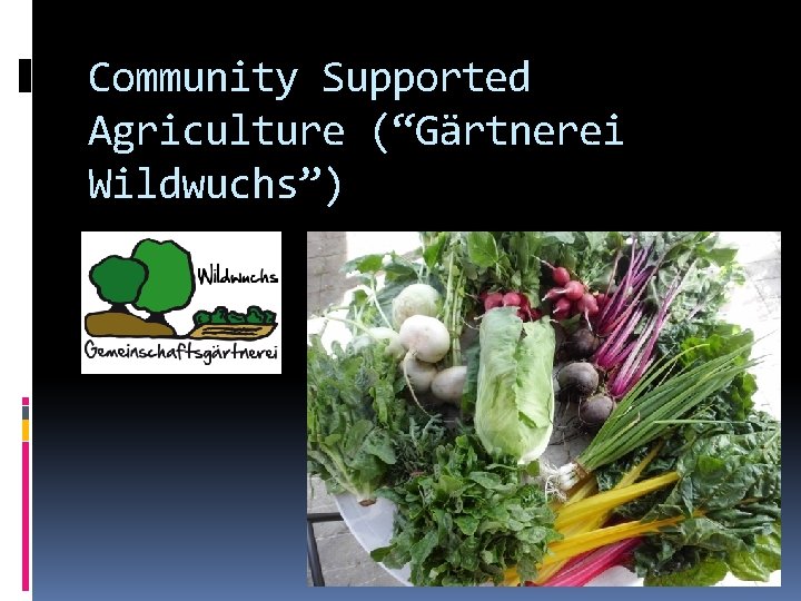 Community Supported Agriculture (“Gärtnerei Wildwuchs”) 