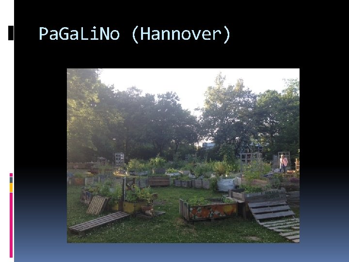 Pa. Ga. Li. No (Hannover) 