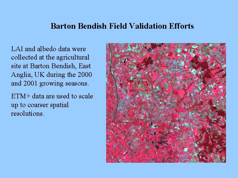 Barton Bendish Field Validation Efforts LAI and albedo data were collected at the agricultural