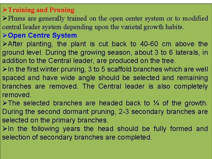 ØTraining and Pruning ØPlums are generally trained on the open center system or to