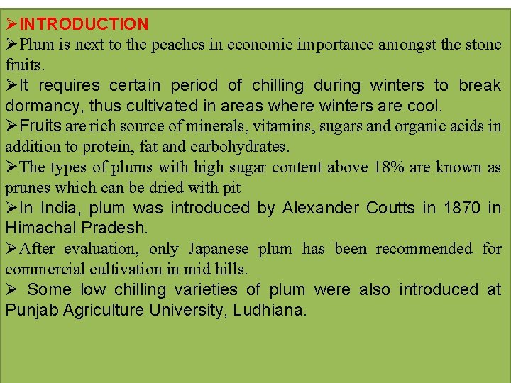 ØINTRODUCTION ØPlum is next to the peaches in economic importance amongst the stone fruits.