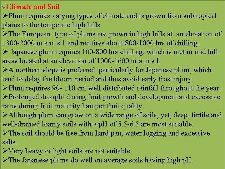 Climate and Soil ØPlum requires varying types of climate and is grown from subtropical