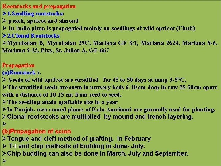 Rootstocks and propagation Ø 1. Seedling rootstocks: Ø peach, apricot and almond Ø In