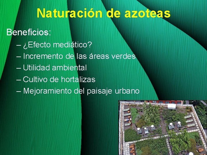 Naturación de azoteas Beneficios: – ¿Efecto mediático? – Incremento de las áreas verdes –