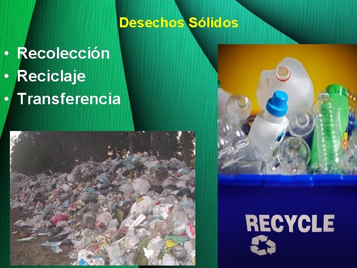 Desechos Sólidos • Recolección • Reciclaje • Transferencia 