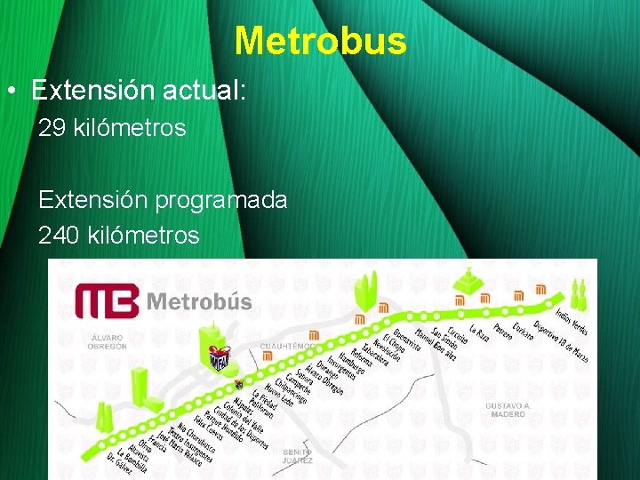 Metrobus • Extensión actual: 29 kilómetros Extensión programada 240 kilómetros 