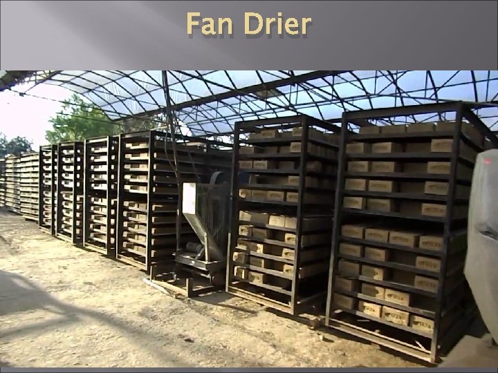 Fan Drier Brick Drying shade 