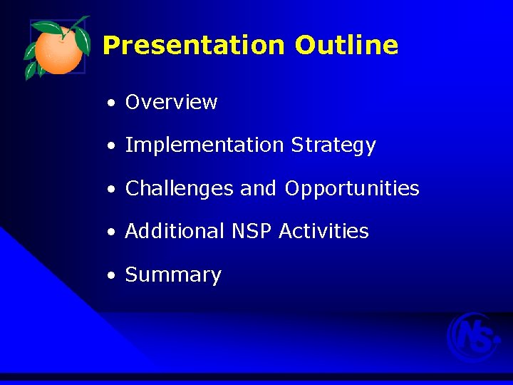 Presentation Outline • Overview • Implementation Strategy • Challenges and Opportunities • Additional NSP