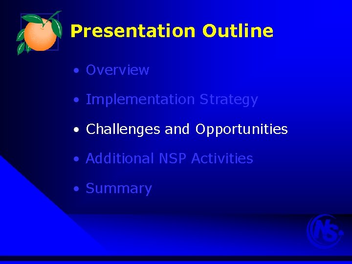 Presentation Outline • Overview • Implementation Strategy • Challenges and Opportunities • Additional NSP
