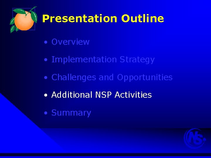 Presentation Outline • Overview • Implementation Strategy • Challenges and Opportunities • Additional NSP