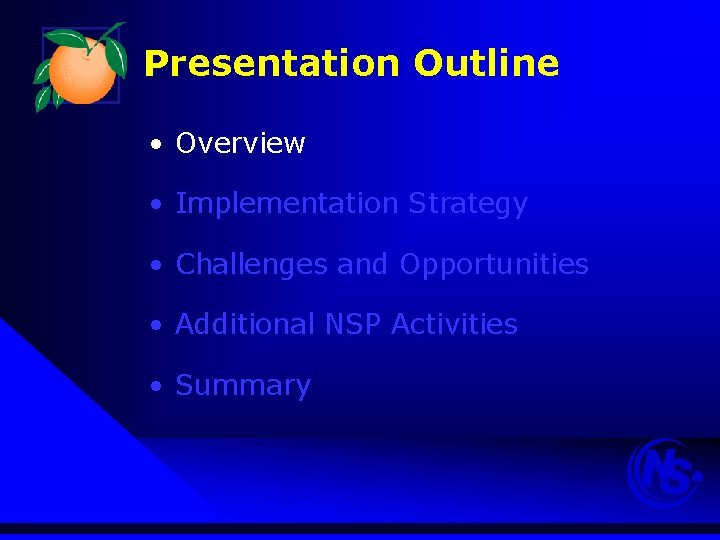 Presentation Outline • Overview • Implementation Strategy • Challenges and Opportunities • Additional NSP