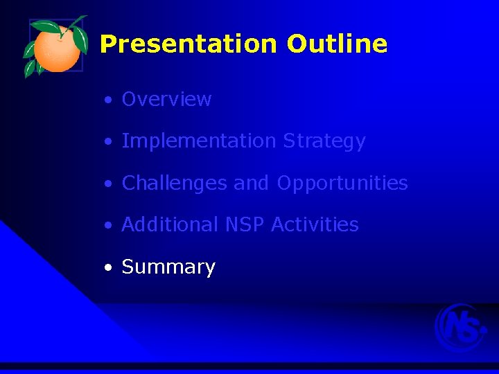 Presentation Outline • Overview • Implementation Strategy • Challenges and Opportunities • Additional NSP