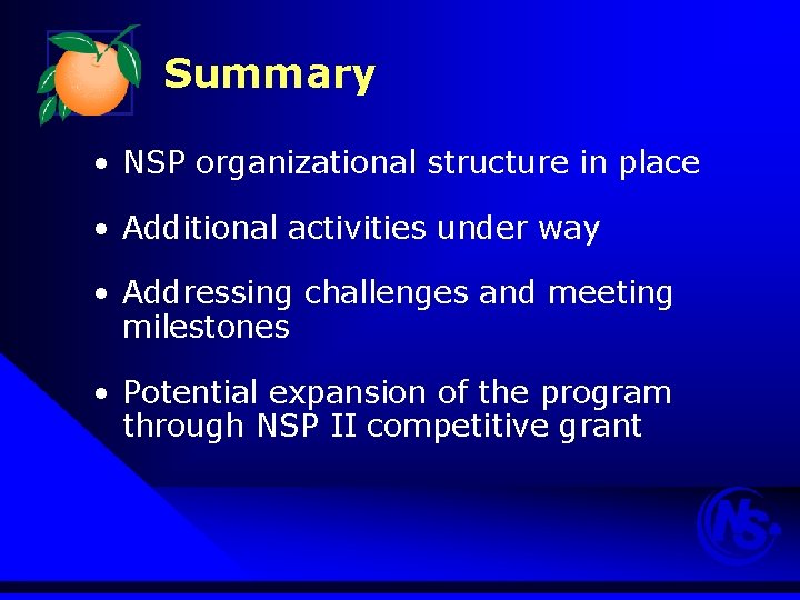 Summary • NSP organizational structure in place • Additional activities under way • Addressing