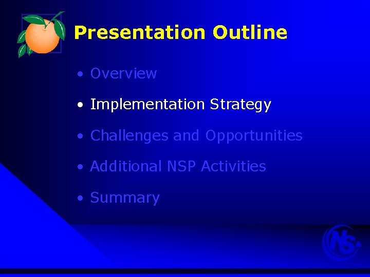 Presentation Outline • Overview • Implementation Strategy • Challenges and Opportunities • Additional NSP