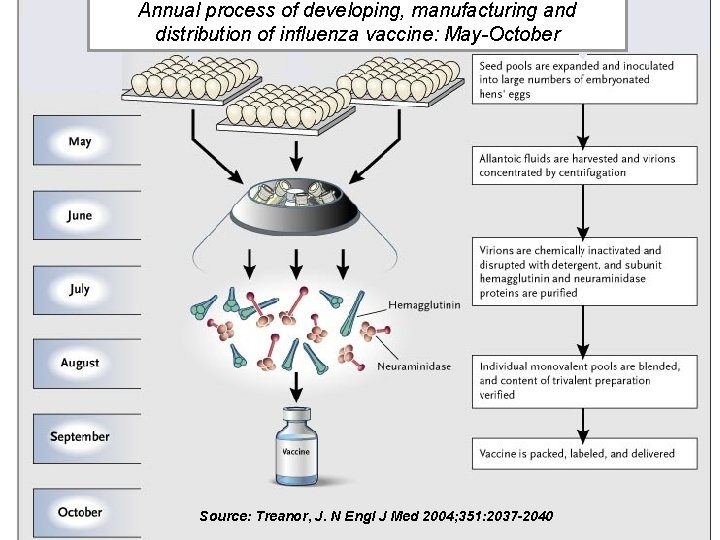 Annual process of developing, manufacturing and distribution of influenza vaccine: May-October Source: Treanor, J.
