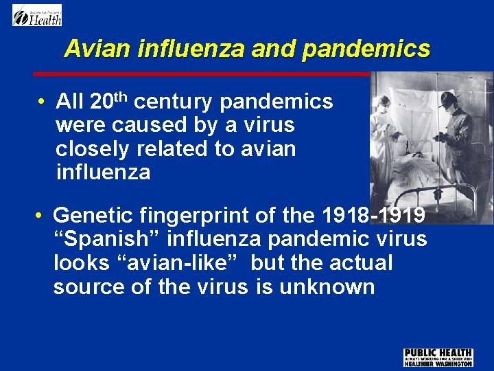Avian influenza and pandemics • All 20 th century pandemics were caused by a