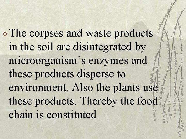 v The corpses and waste products in the soil are disintegrated by microorganism’s enzymes
