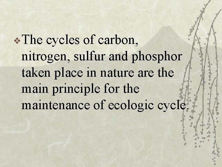 v The cycles of carbon, nitrogen, sulfur and phosphor taken place in nature are