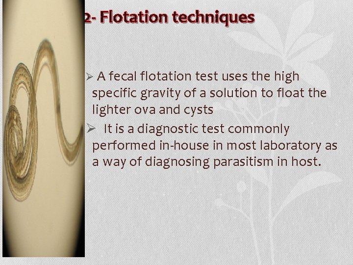 2 - Flotation techniques Ø A fecal flotation test uses the high specific gravity