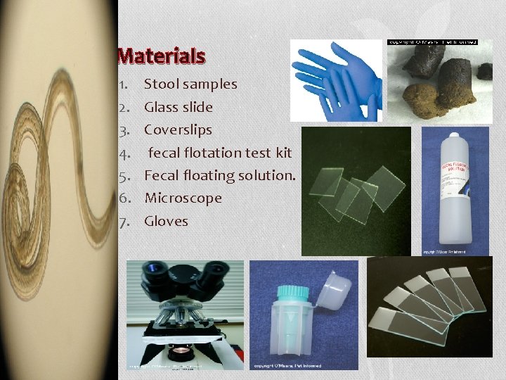 Materials 1. 2. 3. 4. 5. 6. 7. Stool samples Glass slide Coverslips fecal