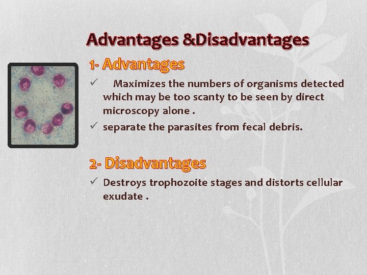 Advantages &Disadvantages 1 - Advantages Maximizes the numbers of organisms detected which may be